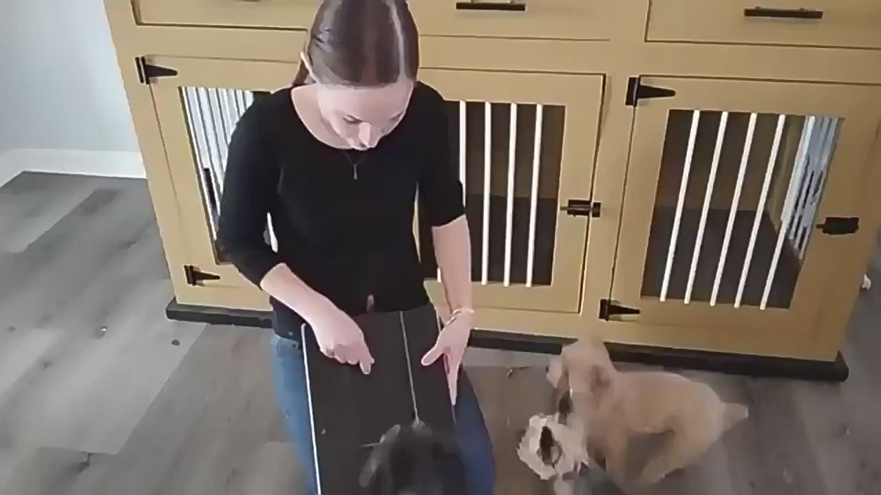 Dog nail scratch board with treat box demo video