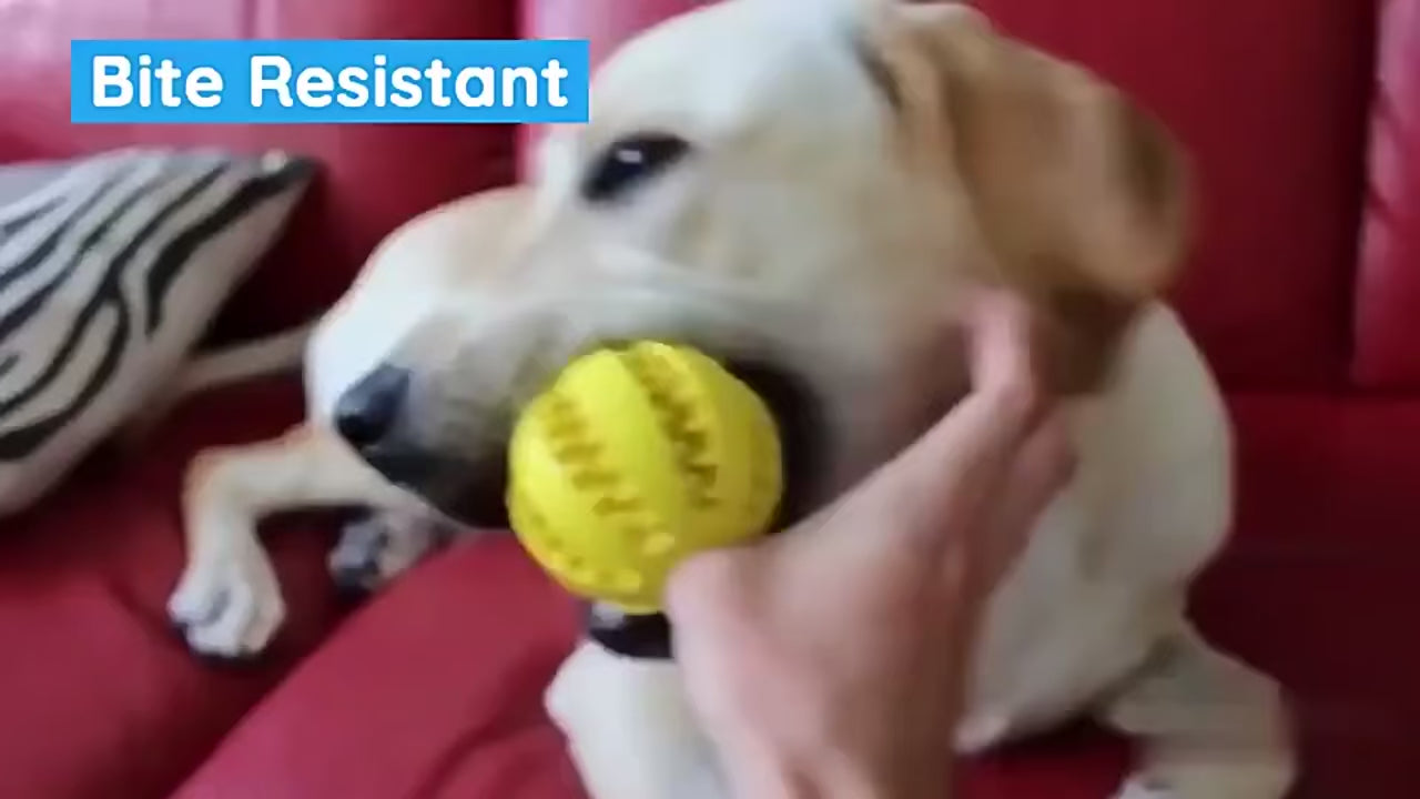 Rubber dog treat ball chew toy, product video