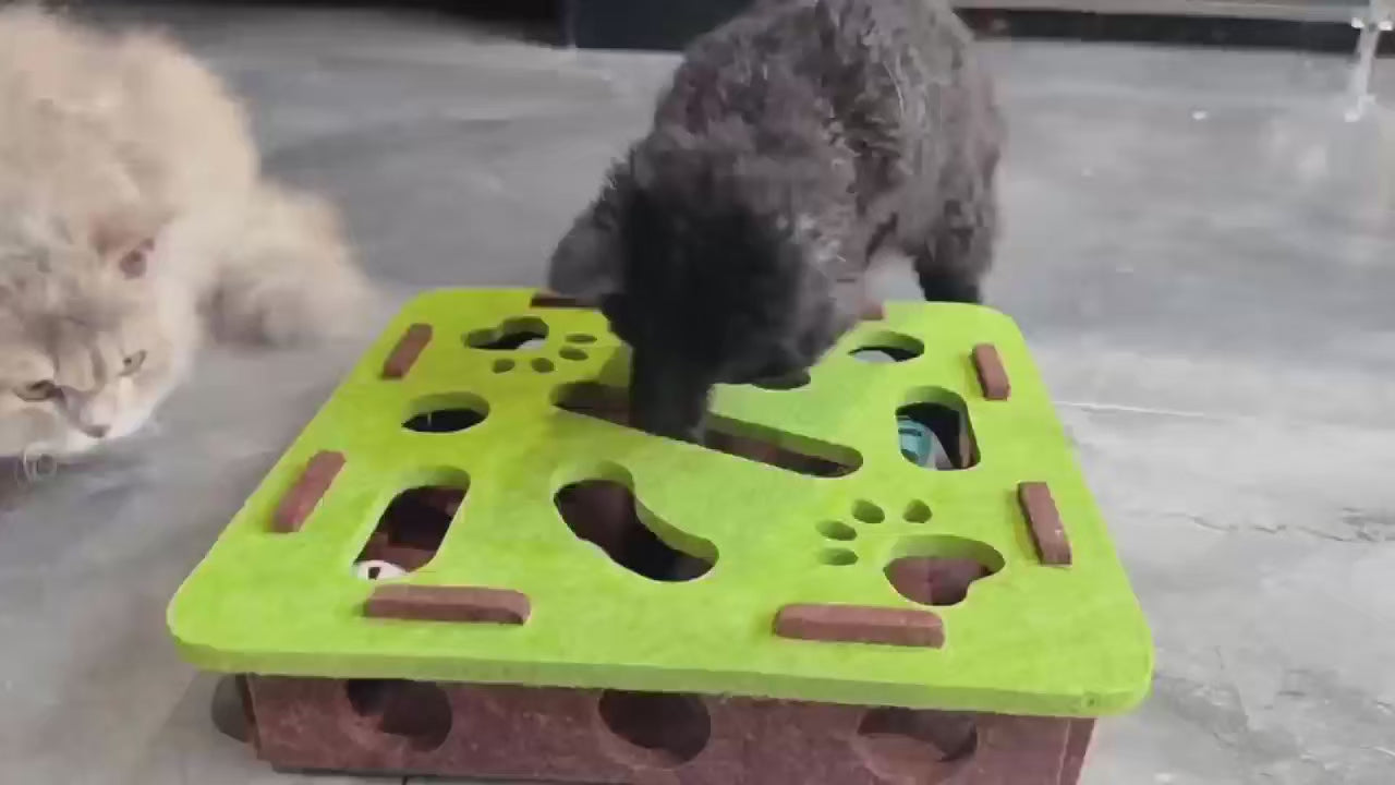 Felt cat puzzle box demo video