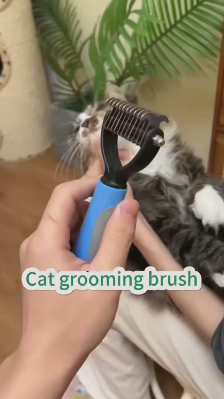 Professional pet deshedding brush demo video