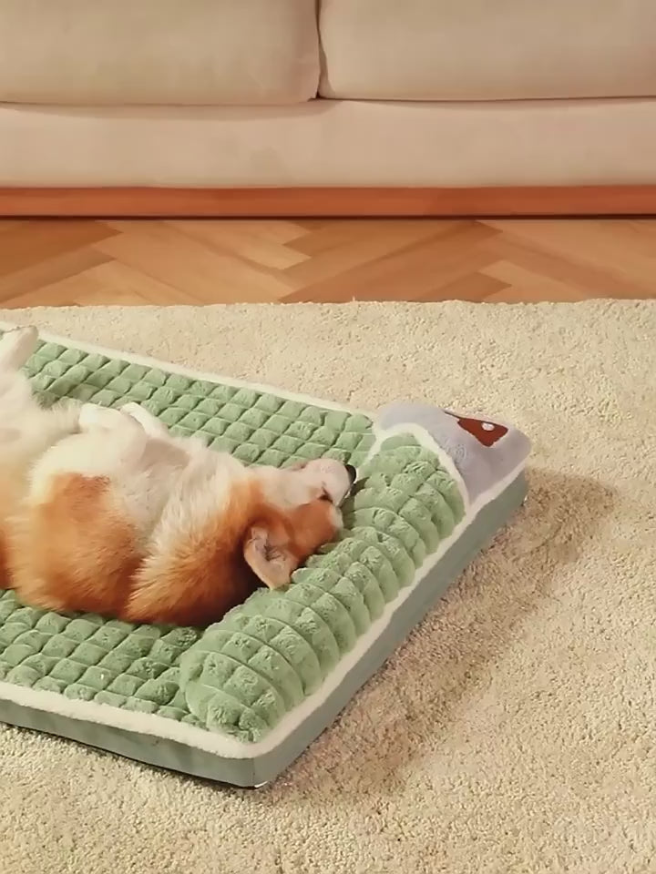 Orthopedic memory foam dog bed, product video