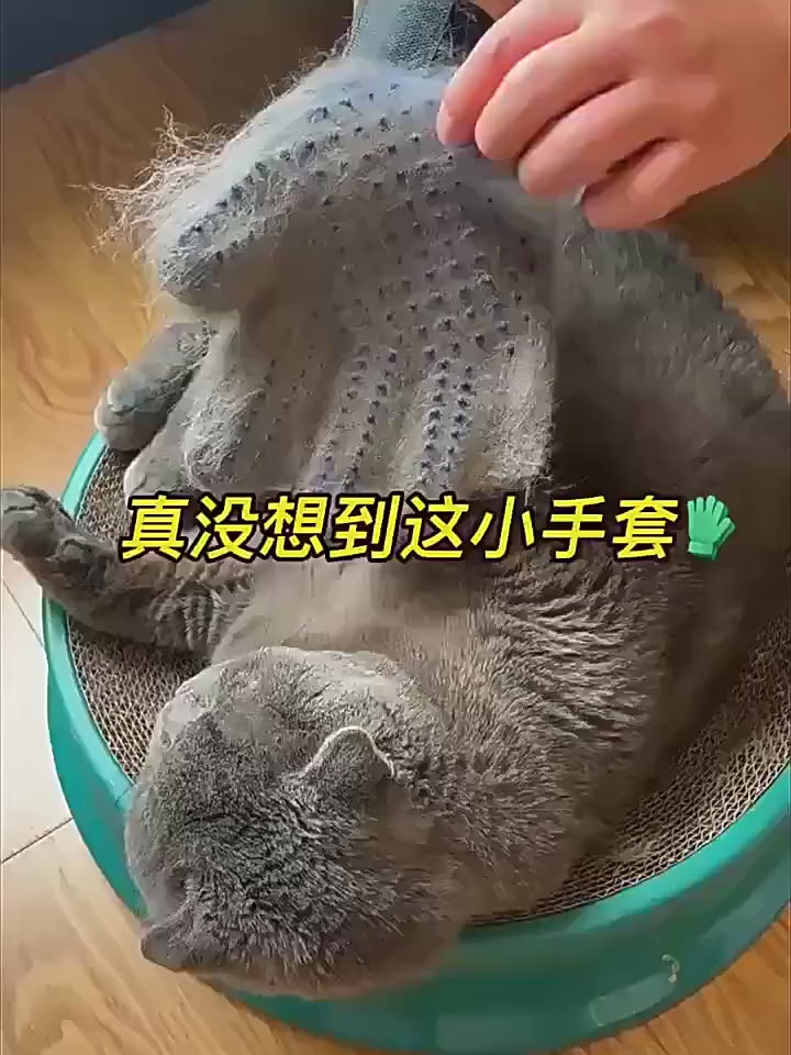 Pet silicone grooming glove demonstration video